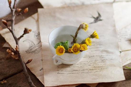 12 cung hoàng đạo Chủ nhật ngày 18/4/2021: Ma Kết hãy mở cửa trái tim