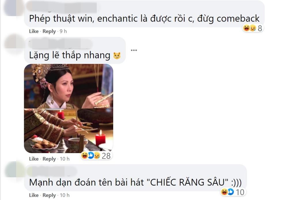Phí Phương Anh thông báo comeback, netizen bàng hoàng: Lì như trâu-4