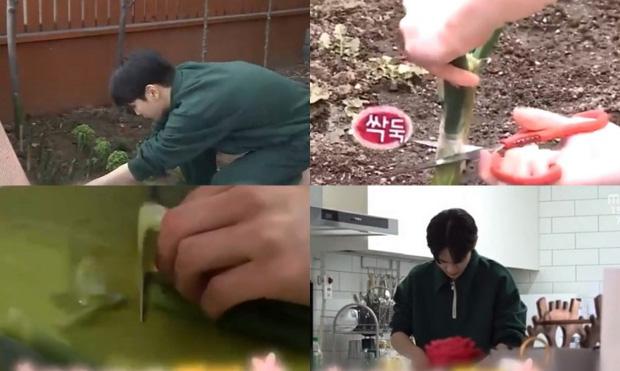 Key (SHINee) cực sốc khi thấy hình ảnh trồng hành của mình xuất hiện trên... bản tin thời sự-1