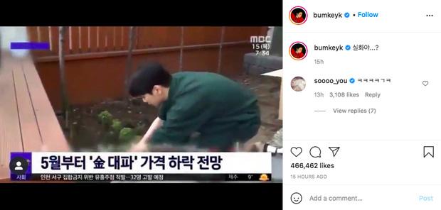 Key (SHINee) cực sốc khi thấy hình ảnh trồng hành của mình xuất hiện trên... bản tin thời sự-2