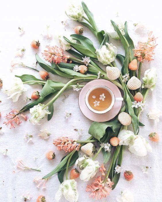 12 cung hoàng đạo thứ Hai ngày 19/4/2021: Đã đến lúc Bảo Bình nên từ bỏ người ấy!-1