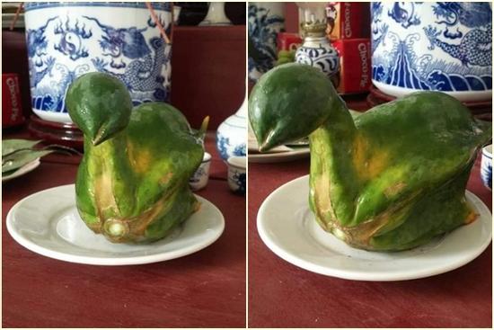 Ngạc nhiên với quả đu đủ 'khác người' mang hình dáng 'nửa gà nửa vịt'