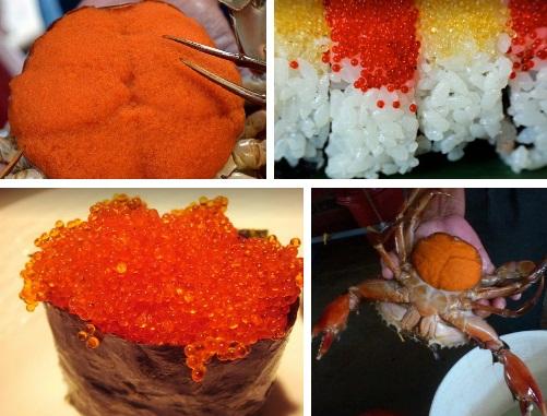 Khoe mấy bé cua nhà mình nuôi, chàng trai khiến người xem ngỡ ngàng-4