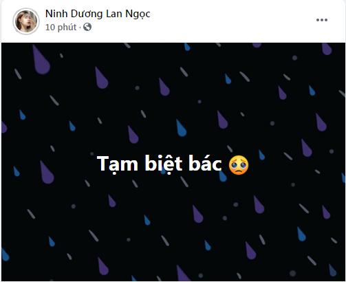 Mẹ đẻ Chi Dân qua đời, Ninh Dương Lan Ngọc nói lời tạm biệt-2