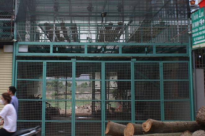 Lời khai của chủ vườn lan Hà Thanh-1