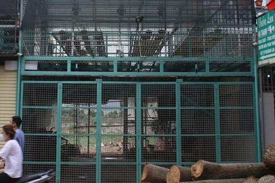 Lời khai của chủ vườn lan Hà Thanh