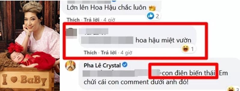 Pha Lê giận quá chửi đổng khi con gái lai Hàn bị chê xấu-5