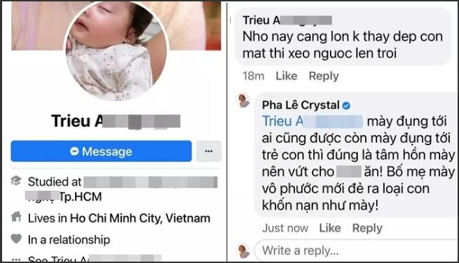 Pha Lê giận quá chửi đổng khi con gái lai Hàn bị chê xấu-2