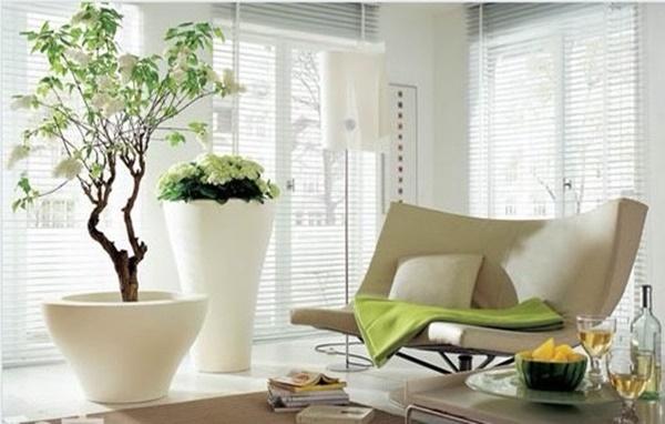 Đúng 0 giờ đặt cây phong thủy ở 1 trong 4 ví trí: Cây càng xanh tươi càng nhiều tiền bạc-1