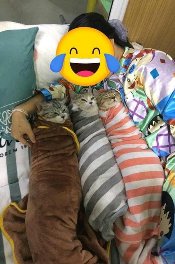 Chị gái 30 tuổi chăm một lúc tam quý tử, nhìn mặt các con mà giật thột-1