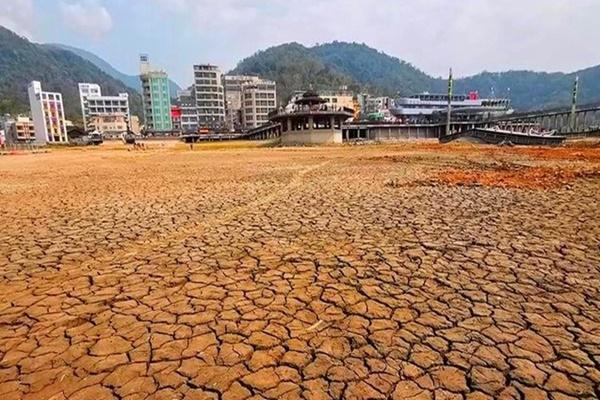 Muốn cứu ngôi làng khỏi bị phá dỡ, người đàn ông biến chúng thành thiên đường cầu vồng!-10