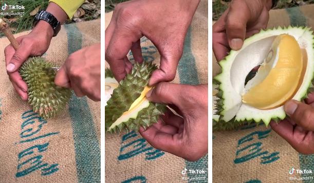 Anh nông dân bổ quả sầu riêng nhỏ xíu bằng bàn tay, kết quả bất ngờ-1