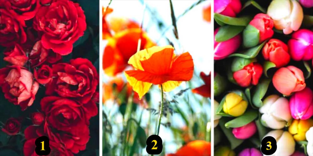 Chọn bông hoa yêu thích nhất khám phá bí mật thú vị về tính cách của bạn-1