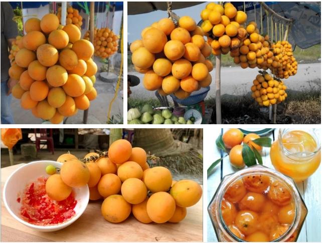 Cô gái khoe cây mọc hoang sau vườn nhưng cho quả trĩu cả cành, đố ai biết tên-3