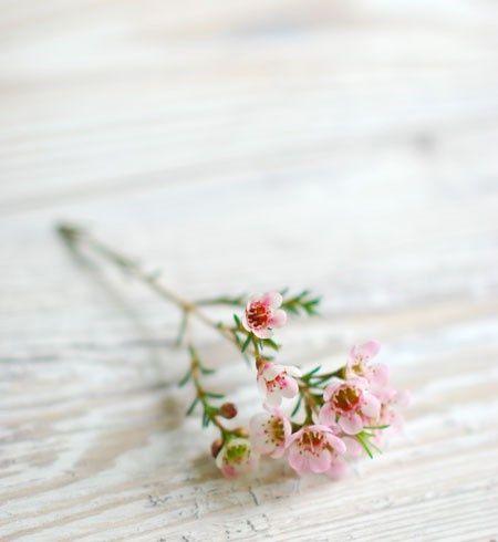 12 cung hoàng đạo thứ Tư ngày 21/4/2021: Song Tử có thành tích đáng nể-1