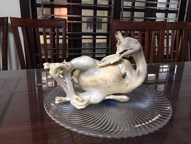 Chết cười với những tư thế gà cúng đỡ mãi không nổi-5