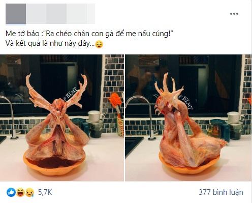 Chết cười với những tư thế gà cúng đỡ mãi không nổi-1