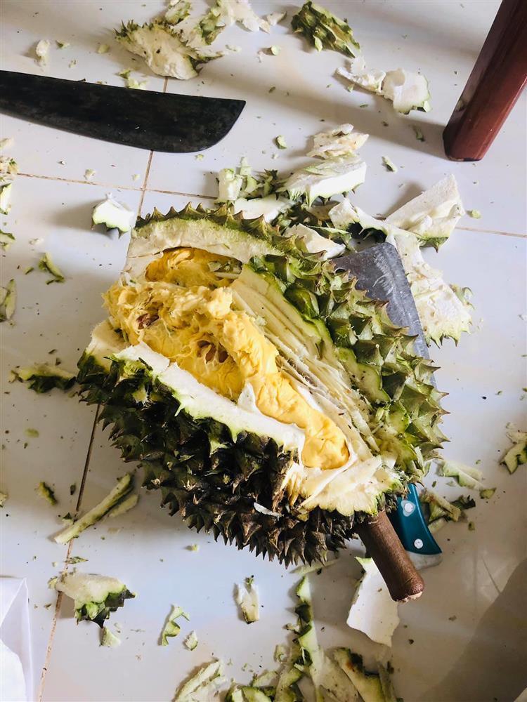 Bổ sầu riêng như đánh vật nhưng cái kết chỉ vứt đi chứ ai ăn nổi-1