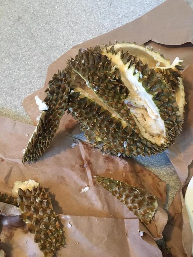 Bổ sầu riêng như đánh vật nhưng cái kết chỉ vứt đi chứ ai ăn nổi-9