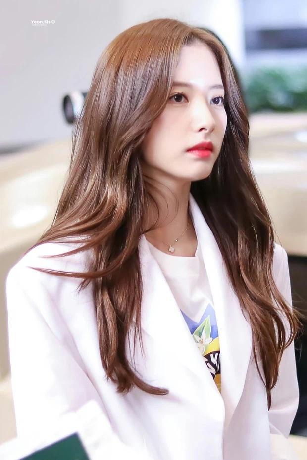 Tử vi thứ Năm ngày 22/4/2021 của 12 con giáp: Hợi nên cải thiện kỹ năng giao tiếp-2