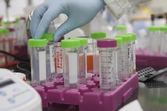 Phát hiện biến chủng SARS-CoV-2 mới