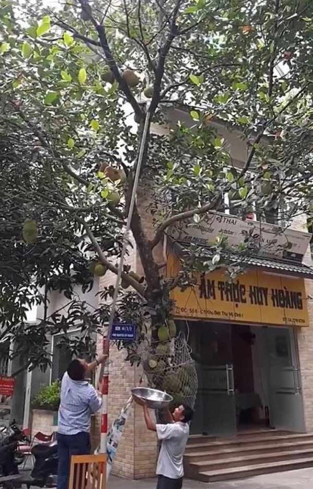 Những pha chọc mít huyền thoại khiến dân mạng cười nghiêng ngả-6