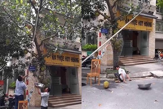 Những pha chọc mít 'huyền thoại' khiến dân mạng cười nghiêng ngả