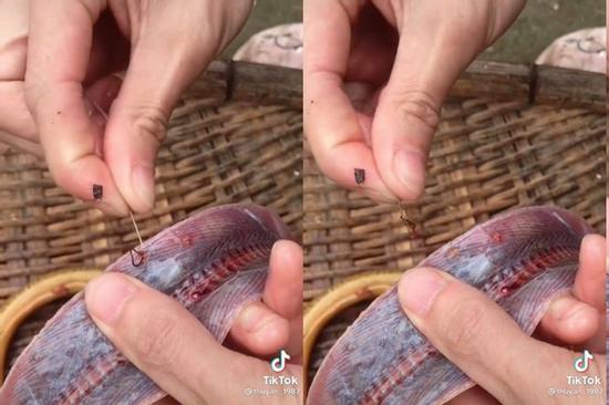 Đang làm thịt con lươn to, cô gái khiến dân mạng khiếp vía khi lôi ra 2 vật thể như sán