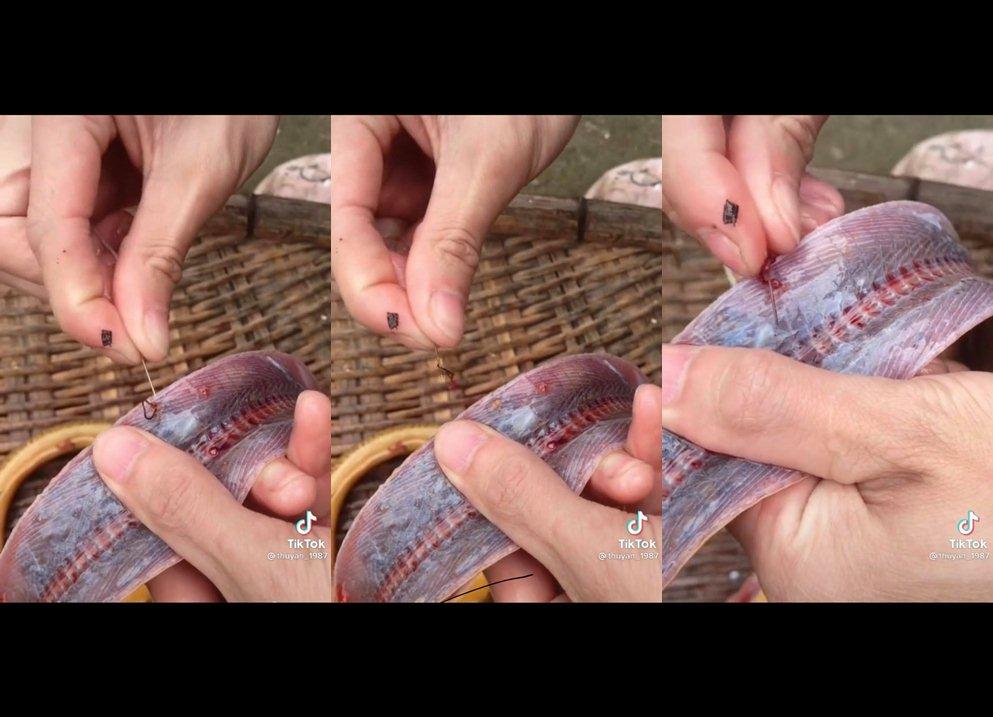 Đang làm thịt con lươn to, cô gái khiến dân mạng khiếp vía khi lôi ra 2 vật thể như sán-1