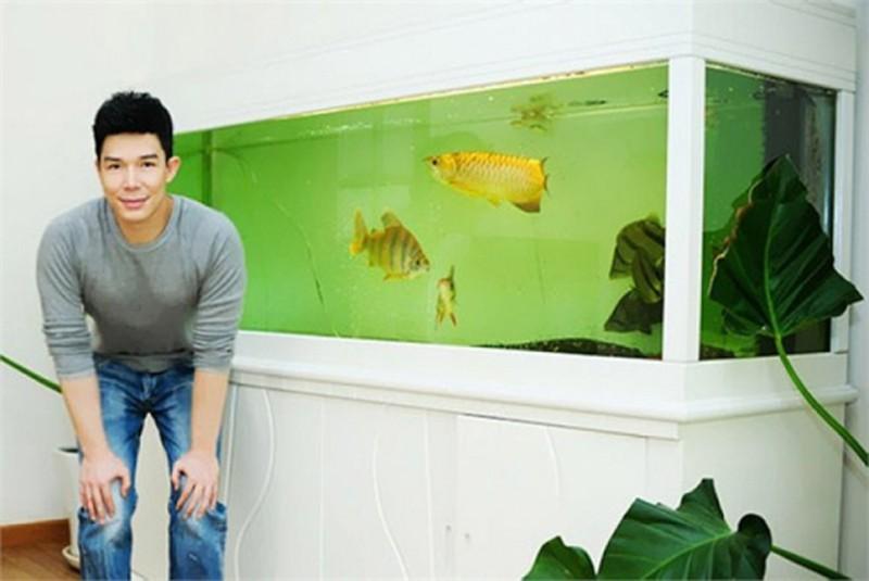 Nathan Lee bị đào mộ loạt phốt khoe của không thuộc về mình-1