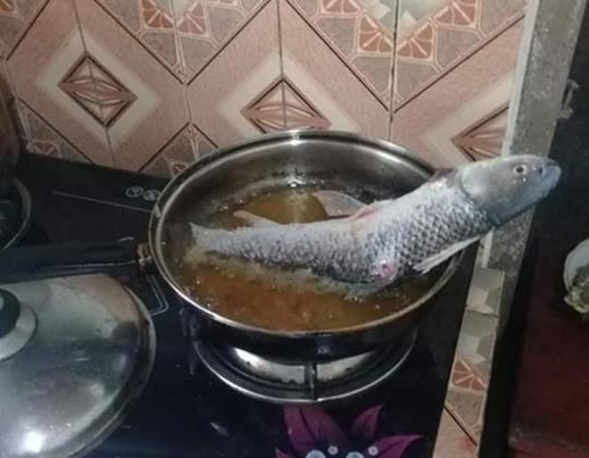 Dân tình cười bò khi chú cá cho vào chảo dầu nhưng vẫn giữ tư thế hiên ngang-3