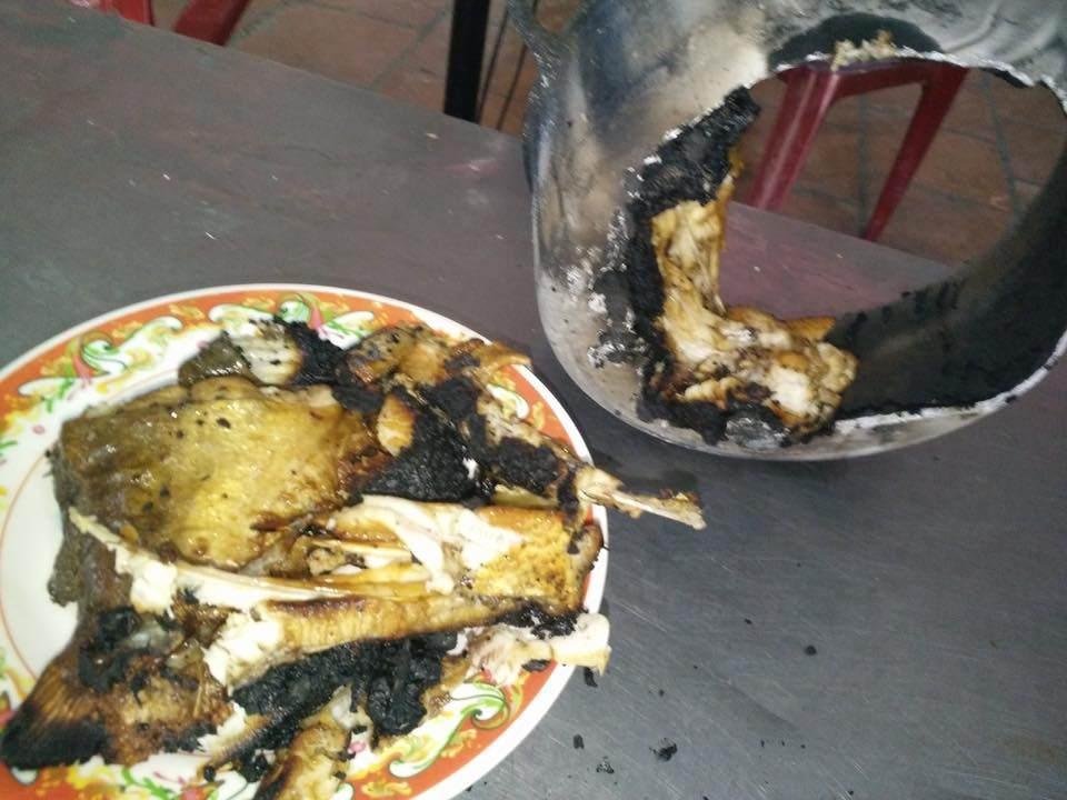 Dân tình cười bò khi chú cá cho vào chảo dầu nhưng vẫn giữ tư thế hiên ngang-6