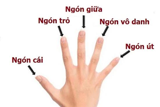 Muốn biết hậu vận sang hay hèn: Xòe bàn tay nhìn 5 ngón là rõ