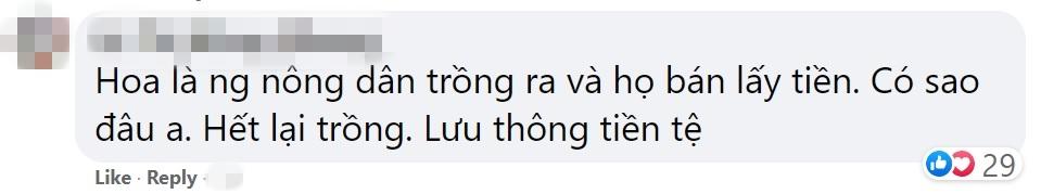 Wowy bị chỉ trích làm màu khi đề nghị mọi người đừng tặng hoa-4