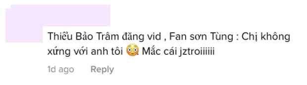 Thiều Bảo Trâm tự PR chẳng thù oán ai, fan Sơn Tùng vào tận nơi ném gạch-2