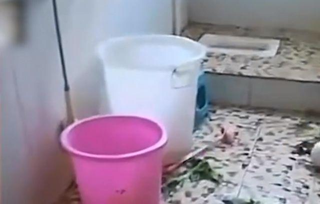 Bà mải hái rau, cháu gặp nạn chết ngạt trong thùng trữ nước nhà vệ sinh-1