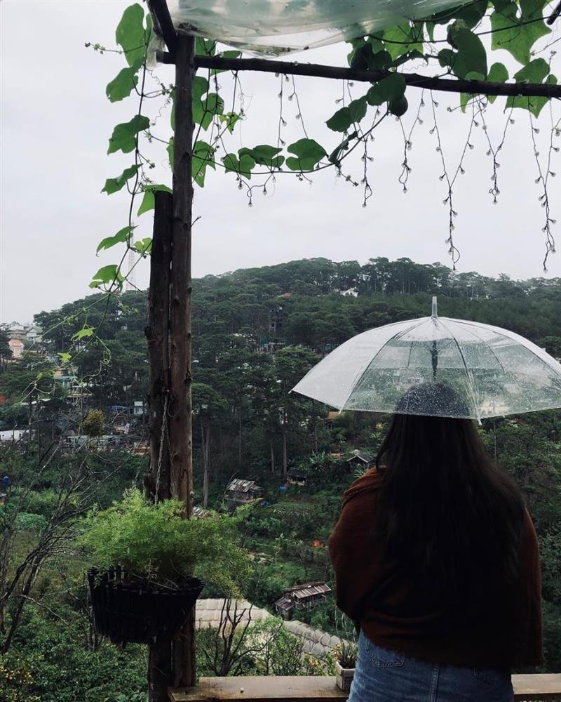 Hào hứng đi du lịch Đà Lạt, ai ngờ đang ngồi ăn thì thác nước chảy xối xả-2