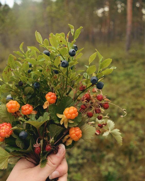 12 cung hoàng đạo Chủ nhật ngày 25/4/2021: Song Tử có một ngày đầy ắp tiếng cười-3