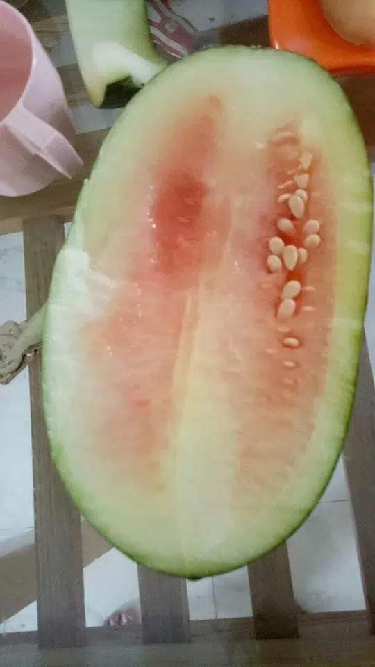 Những pha bổ quả cho thấy dưa hấu là loại trái cây bán đứng con người nhiều nhất-6