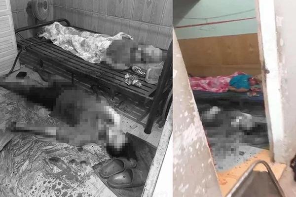 Tiết lộ bức thư con bế tắc, giải thoát cho cha liệt giường rồi tự tử-1