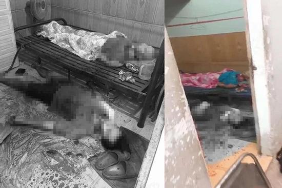 Tiết lộ bức thư con bế tắc, 'giải thoát' cho cha liệt giường rồi tự tử