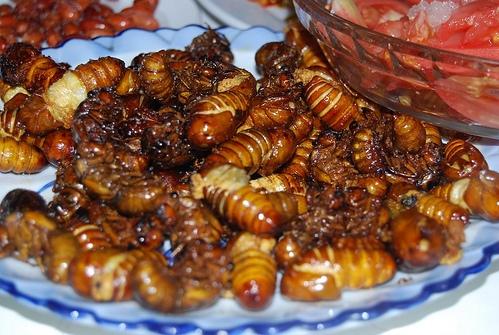 Ám ảnh với đặc sản mùa hè gần nửa triệu 1 kg-4