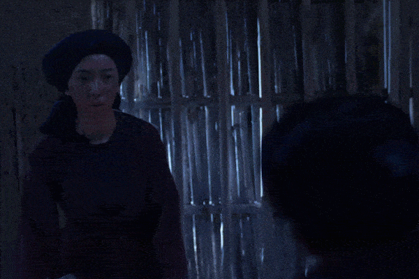 Chị Dần Thu Trang - Bật lại kẻ cường hào, tại sao không?-2