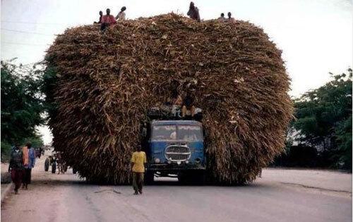 Há hốc mồm nhìn người vận chuyển tha lôi núi hàng hóa vẫn bon bon trên đường-2