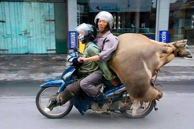 Há hốc mồm nhìn người vận chuyển tha lôi núi hàng hóa vẫn bon bon trên đường-10