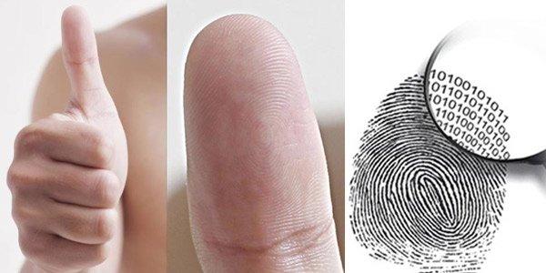 Nhìn vào ngón tay cái biết được tương lai làm quan hay làm lính-1