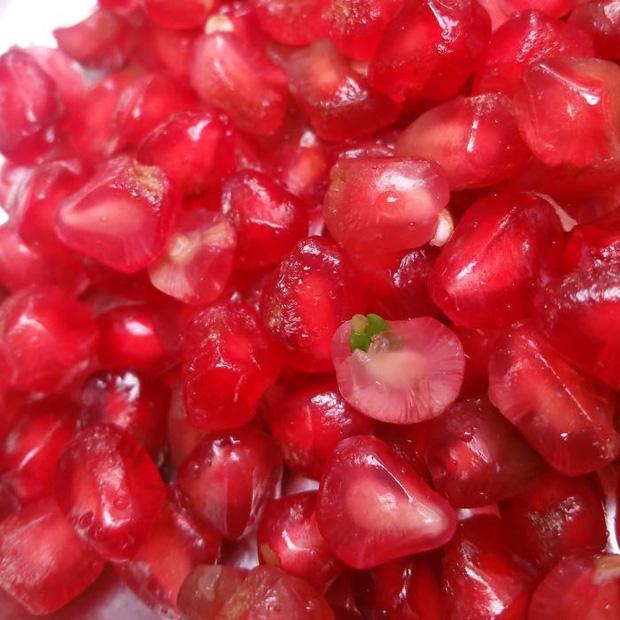 Ngán ngẩm nhìn cảnh hoa quả chưa kịp ăn đã nảy mầm chi chít-8