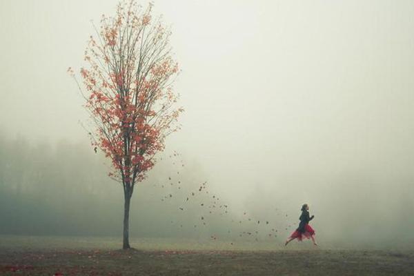 Mua chung cư nhớ 4 nguyên tắc này để tránh bệnh tật, xui xẻo, càng ở càng có lộc-3