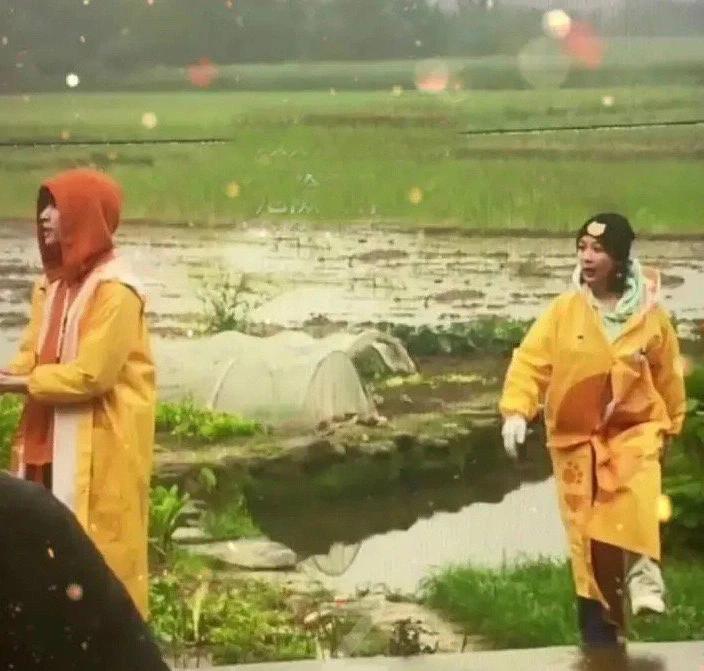 Bà chủ Vương Nhất Bác ám chỉ Trương Nghệ Hưng và Dương Tử yêu nhau?-5