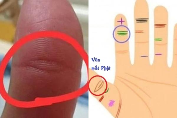 Có Vân Mắt Phật Ở Ngón Tay Này, Cuộc Đời Bạn Sẽ An Nhiên - 2Sao